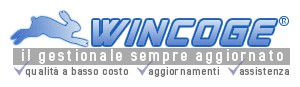 gestionale WinCoge contabilit fatturazione magazzino